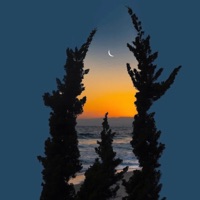 Real Life Shit (RLS) - Single - STONE D