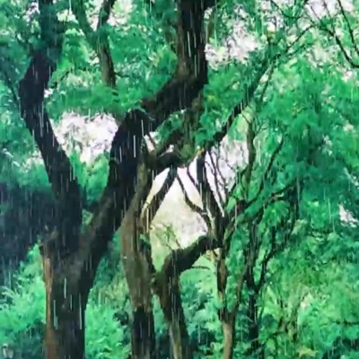 Day Dream (Instrumental) - Single