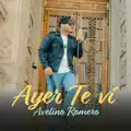 Ayer Te Ví