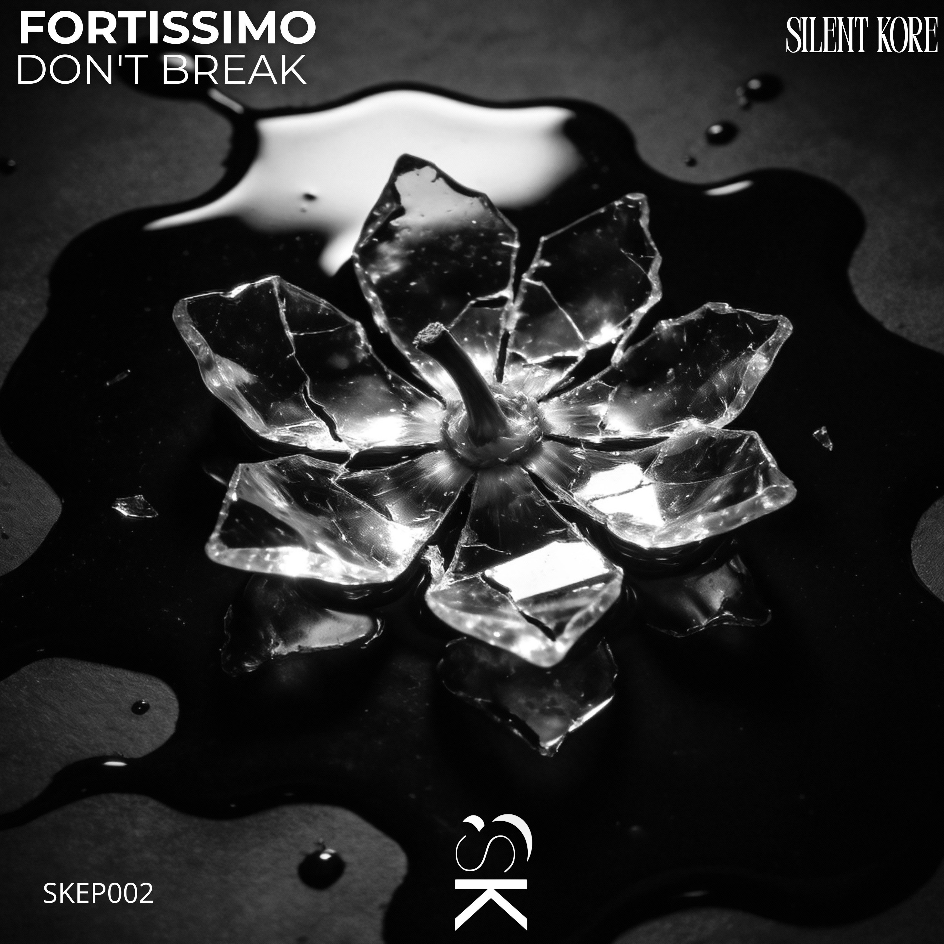 Fortissimo - Don't Break - Single