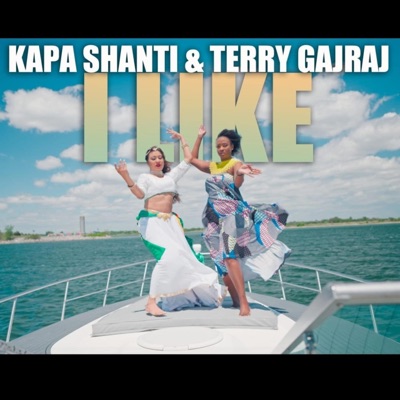 I LIKE (feat. Terry Gajraj) - Single
