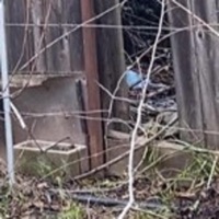 piece by piece - Single - hamltn