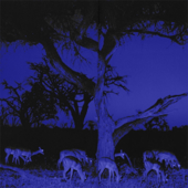 I Found Love song art