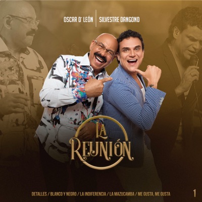 La Reunión 1 : Detalles / Blanco y Negro / La Indiferencia / La Mazucamba / Me Gusta, Me Gusta (feat. Silvestre Dangond) - Single