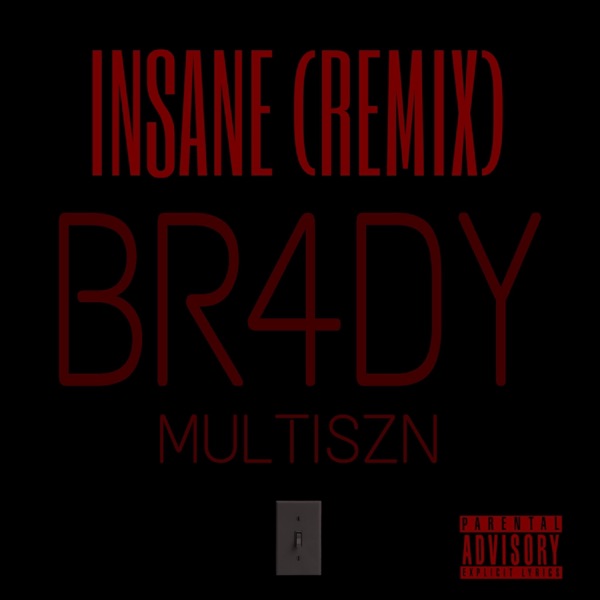 INSANE REMIX (feat. Multiszn)