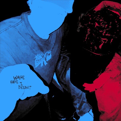 Where Have I Been? - Single