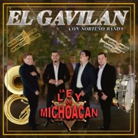 El Gavilán (Con Norteño Banda) - Single - La Ley de Michoacán