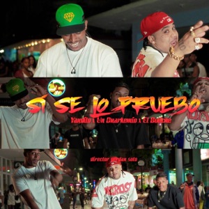 SI SE LO PRUEBO (feat. Dj GoMeko)