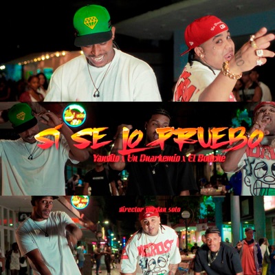 SI SE LO PRUEBO (feat. Dj GoMeko) - Single