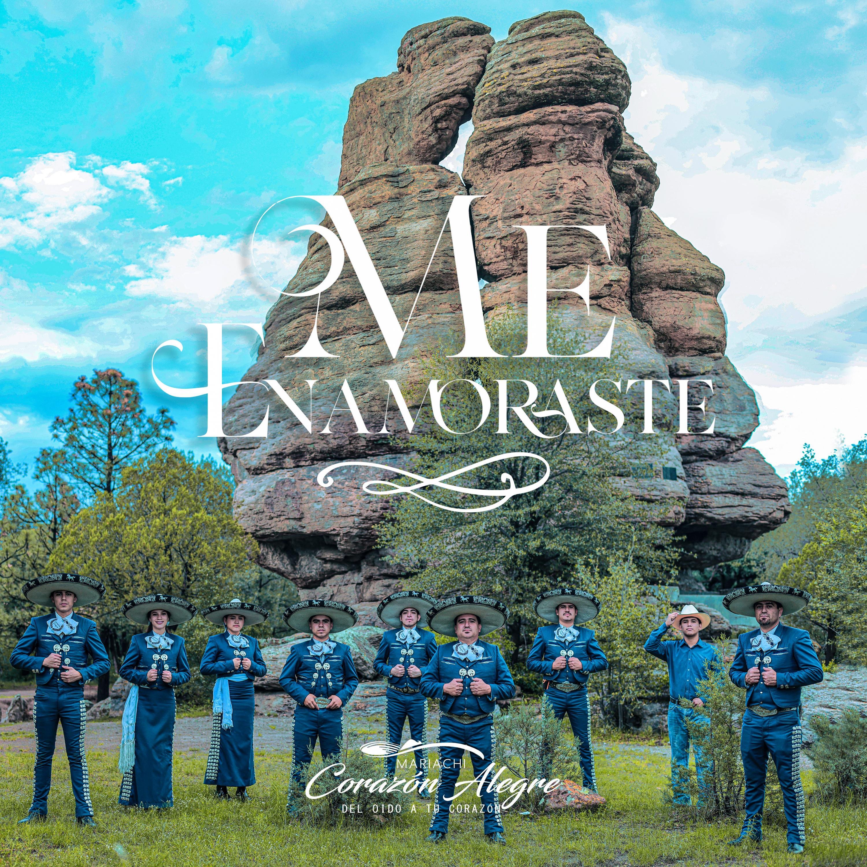 Me Enamoraste - Single