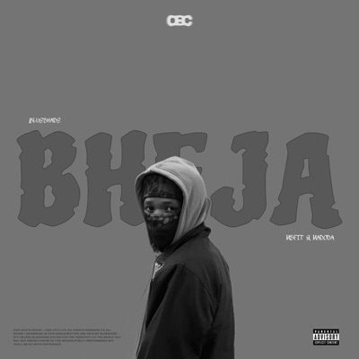 Bheja (feat. Msfit & MADODA) - Single