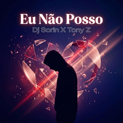 Eu Não Posso (feat. Tony Z) - Single