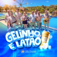 GELINHO E LATÃO