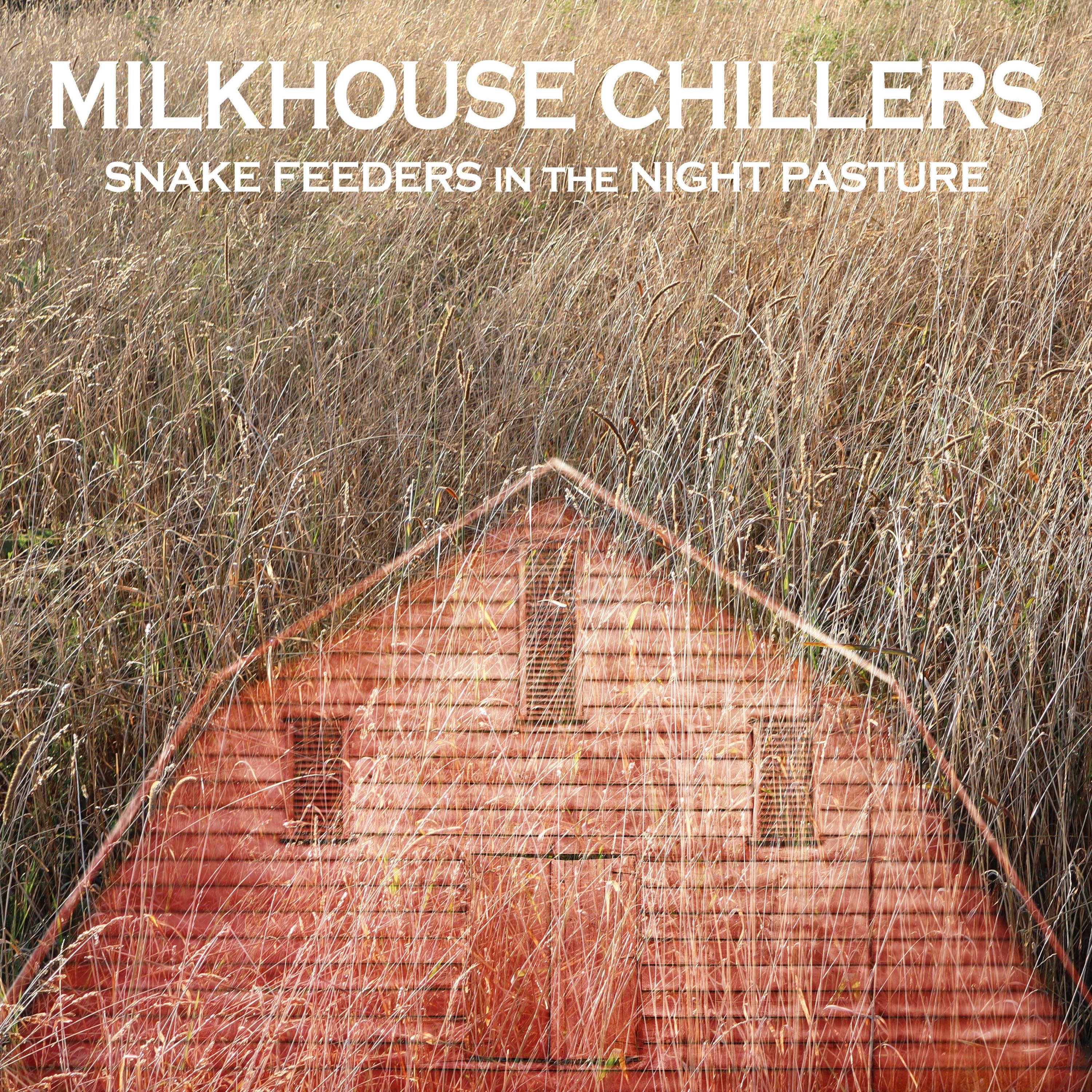 Snake Feeders in the Night Pasture