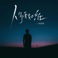 人情薄如纸 - Single - 刘阳阳