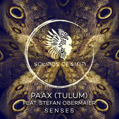 Listen to Senses - Single by PAAX (Tulum)