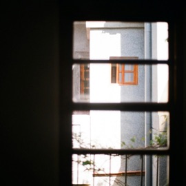 Dusty Pictures herman.