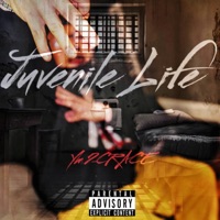 Juvenile Life (Freestyle) - Single - YM2Crace