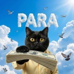 PARA - Single