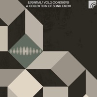 Essentials Vol.2 Concrète: A collection of Sonic Excess - Walz