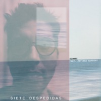 Siete Despedidas (feat. Javiera Barreau) - Single - sgomez