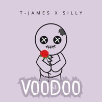 Voodoo (feat. silly) - Single - T-James