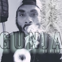 Gunja (feat. Abo Fiitz) - Single - 30 Bloke