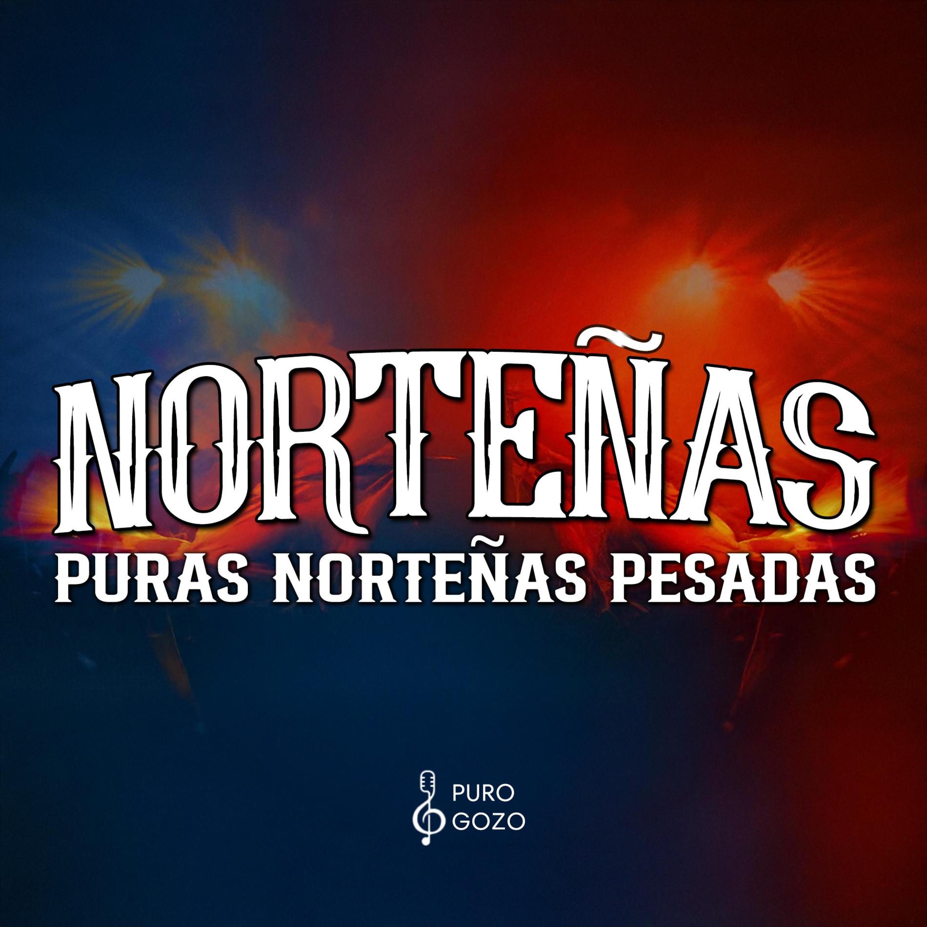 Puras Norteñas Pesadas