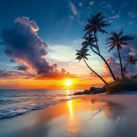 Сон 14 часов - EP - Максим Калуцкий