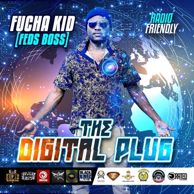 The Digital Plug (Radio Friendly)