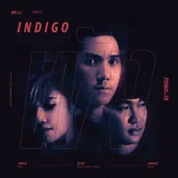 พัง — Indigo