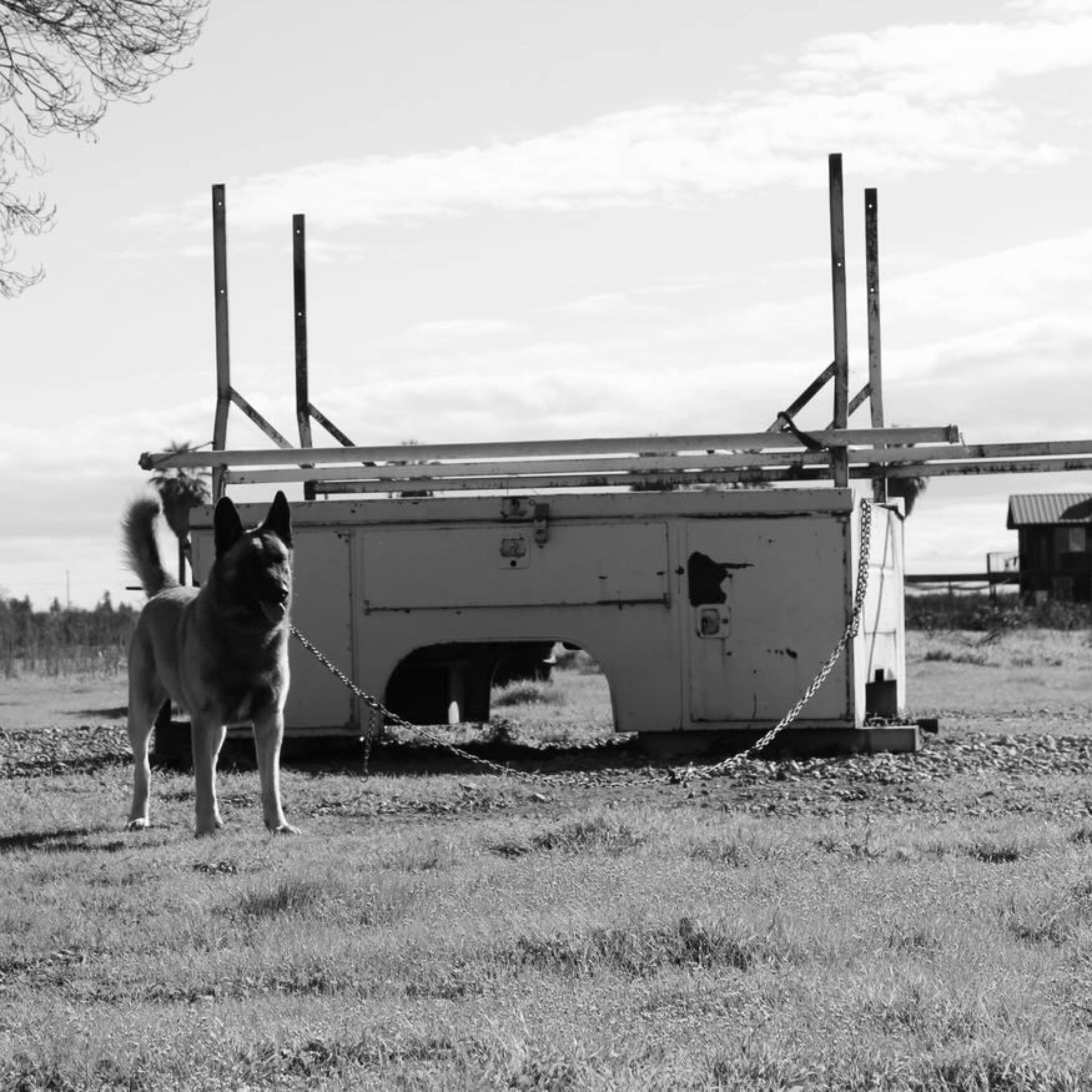 BUILT DIFFERENT - Single