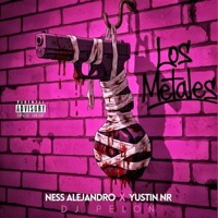 LOS METALES (feat. Yustin NR) - Single - Ness Alejandro