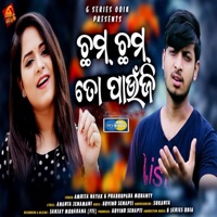 Cham Cham To Paunji - Single - Prabhupada Mohanty & AMRITA NAYAK