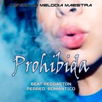 Prohibida - Single - Astro la Melodia Maestra
