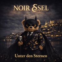 Unter den Sternen (Radio Edit) - Single - NO:IR & Sel