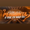 Não Me Pergunta o Que Eu Não Sei (feat. Mc Rkostta) - Single