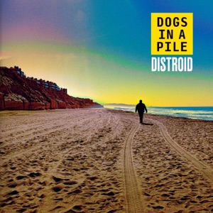 Distroid