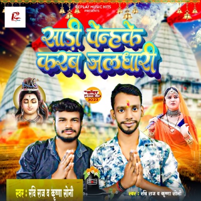 Sadi Penhake Karab Jaldhari - Single