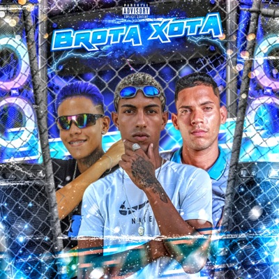Brota Xota (feat. O Bruxo Da Putaria, Éo Jonas, DJ RELÍQUIA & Brega Funk) - Single