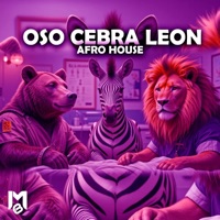 Oso Cebra Leon (Afro House) Otorrinolaringologo - Single - IzyManuel Beatz