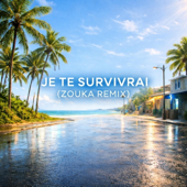 Je te survivrai (Zouka Remix)