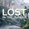 Lost in the Jungle (432Hz Ambient Edit) - Single