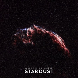 Stardust (feat. Randy Tchik) Mindset