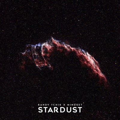 Stardust (feat. Randy Tchik) - Single
