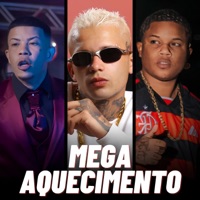 Mega Aquecimento - Single - DJ VILÃO, Mc Magrinho & Mc Pedrin do Engenha