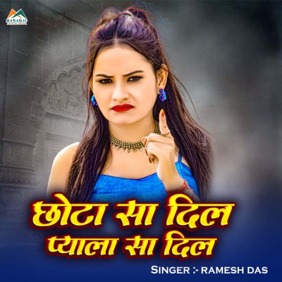 Chhota Sa Dil Pyara Sa Dil - Single