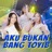 Aku Bukan Bang Toyib