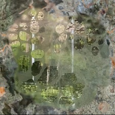 Leather Projection - Puddle Organism