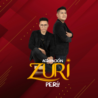 Mix Santuyuqmi: Por Tu Santo, No Puede No Puede - ZURI PERU Cover Art